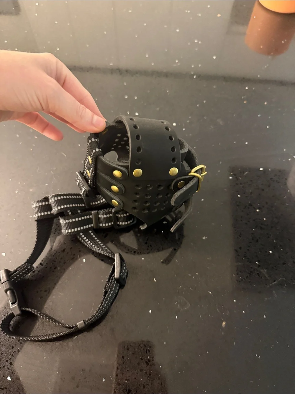 Black Leather Basket Dog Muzzle with Gold Rivets and Buckles